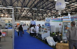 專業會展與展覽服務概述